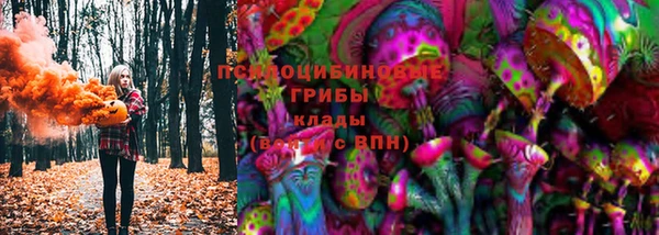 прущие крисы Белоозёрский