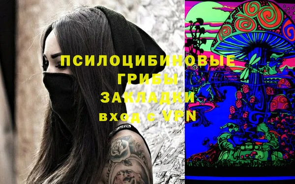 2c-b Белокуриха