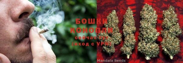 прущие крисы Белоозёрский