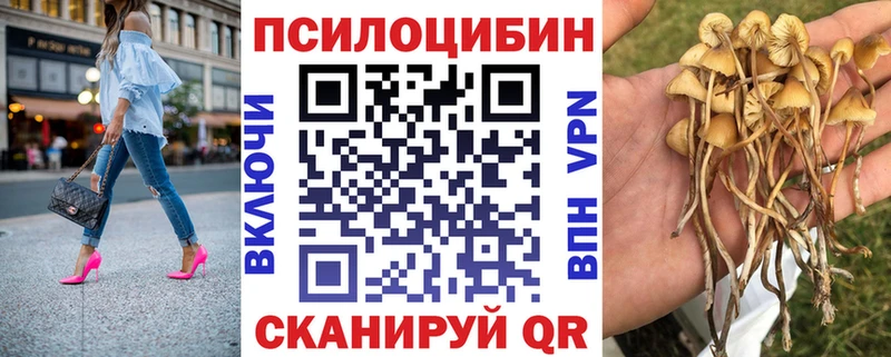 Псилоцибиновые грибы мицелий  где найти наркотики  Дигора 