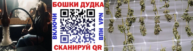 OMG как зайти  наркошоп  Дигора  Бошки марихуана сатива 